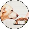 Organic Pet Products