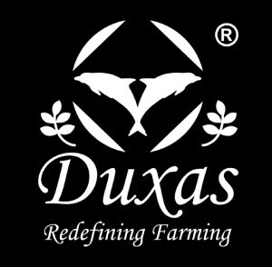 Duxas Greenland Pvt Ltd