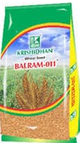 BALRAM 011 | Wheat Variety | Quality Seed